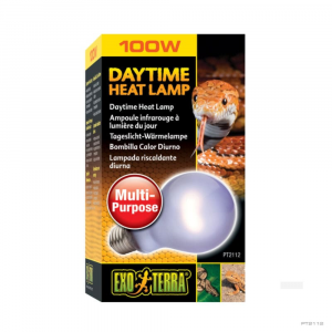 DAYTIME HEAT LAMP
 100 W