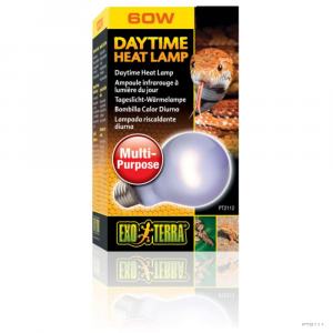DAYTIME HEAT LAMP
 60 W