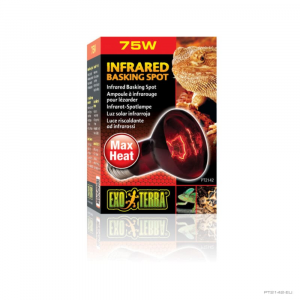 INFRARED BASKING SPOT 75W